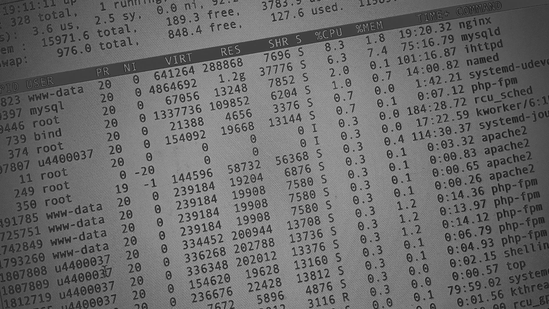 Настройка сервера в Новосиле Настройка сервера в Новосиле