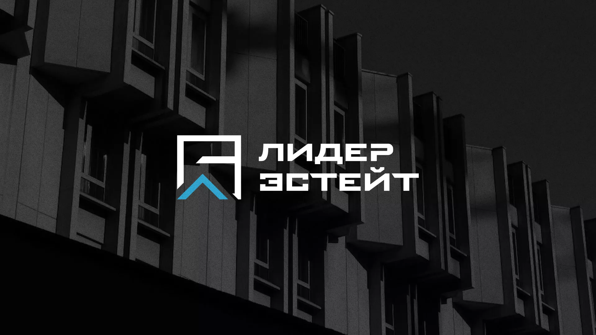 Разработка логотипа агентства недвижимости «Лидер Эстейт» в Новосиле