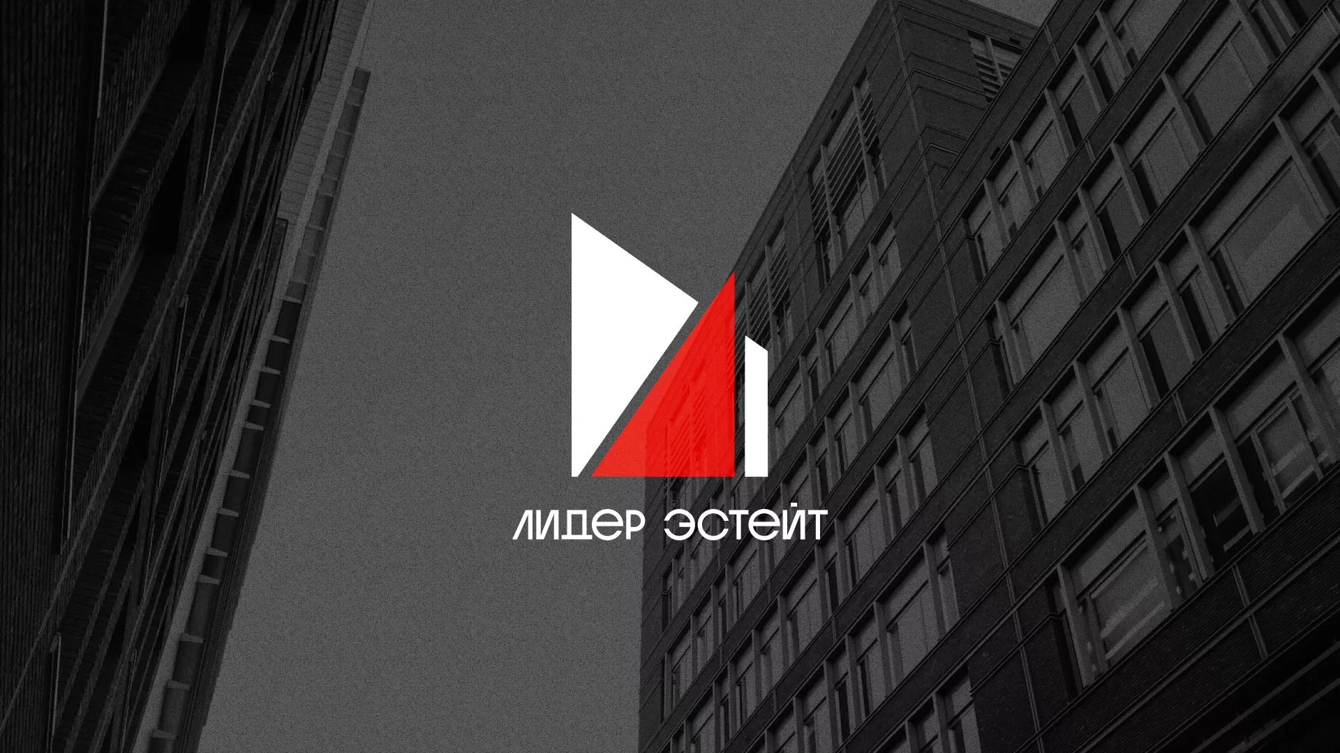 Сделали логотип для агентства недвижимости «Лидер Эстейт» в Новосиле